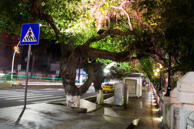 Road sign by trees in city