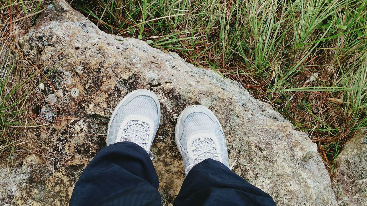 low section, personal perspective, person, shoe, standing, lifestyles, jeans, men, leisure activity, high angle view, human foot, field, unrecognizable person, forest, nature, footwear, outdoors