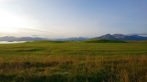 Scenic view of field against sky