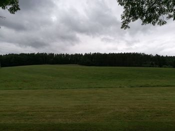 Scenic view of field against sky