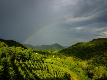 Scenic view of rainbow above mountains against cloudy sky