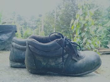 Close-up of shoes on plants