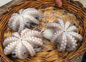 Close-up of hand holding fish in basket