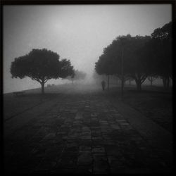 Empty road along trees