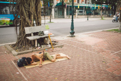 Dog sleeping on sidewalk