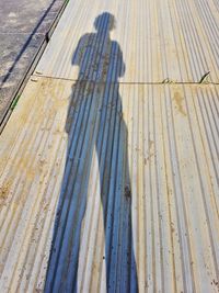 Shadow of person on boardwalk