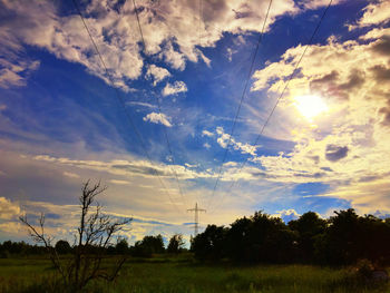 Silhouette trees on landscape against sky during sunset