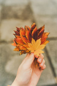 Close-up of hand holding maple leaf during autumn