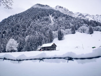 Scenic view of snow covered trees and houses against sky