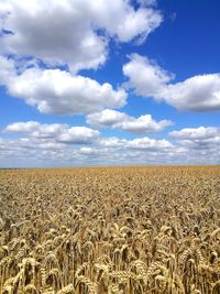 View of field against cloudy sky