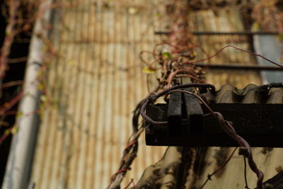 Close-up of rusty metal hanging on fence