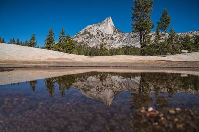 Reflection of trees in calm lake