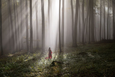 Woman with red blanket standing by tree trunks in forest