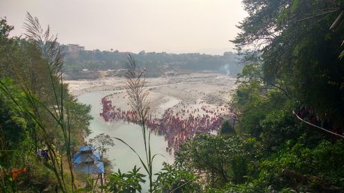 High angle view of trees and plants against sky
