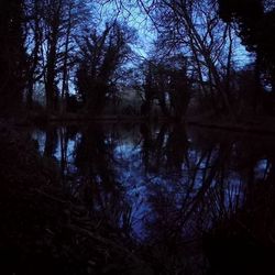 Reflection of trees in lake at night