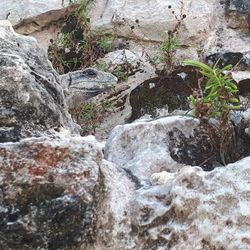 Scenic view of waterfall