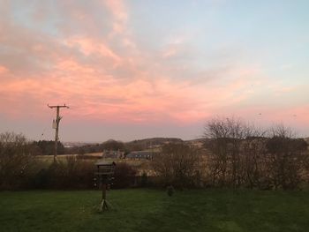 Trees against sky during sunset