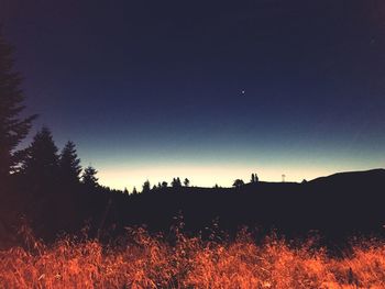 Silhouette trees on field against clear sky at night