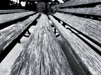 Low angle view of wood