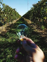 Human hand holding glass against trees