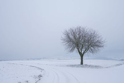 Bare tree on snow covered field against clear sky