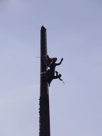 Low angle view of eagle perching against clear sky