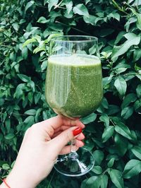 Cropped hand of woman holding spinach smoothie in wineglass