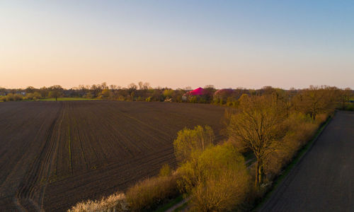 Scenic view of agricultural field against sky during sunset