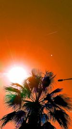 Low angle view of palm trees against sky at sunset