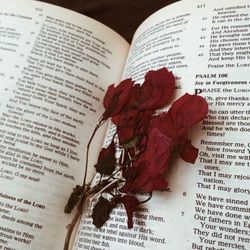 Close-up of book on book