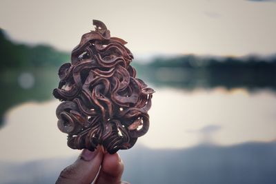 Close-up of hand holding plant pod