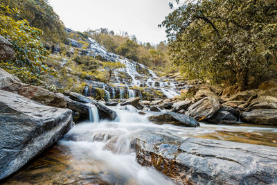 Scenic view of waterfall in forest