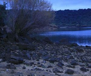 Scenic view of tree by water against sky