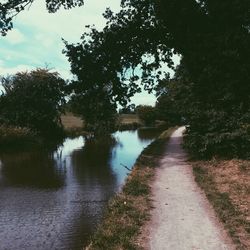 Footpath along trees