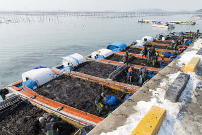 High angle view of sea weed harvesting boats moored at harbor against sky