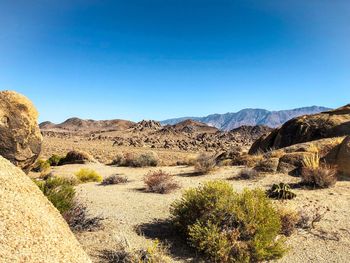 Scenic view of landscape against clear blue sky