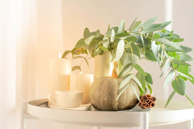 Autumn decor, a pumpkin on the table in the living room, burning candles, a bouquet of eucalyptus 