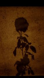 Close-up of shadow on sand