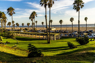 Scenic view of palm trees against sky