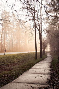 Footpath amidst bare trees in foggy weather