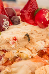 Close-up of dessert in plate