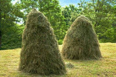 View of hay bales on field