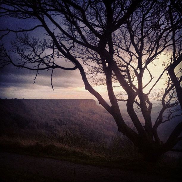 bare tree, tree, tranquility, branch, tranquil scene, silhouette, scenics, beauty in nature, landscape, sunset, nature, sky, tree trunk, dusk, non-urban scene, idyllic, field, outdoors, remote, no people