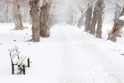 Snow covered trees on field during winter