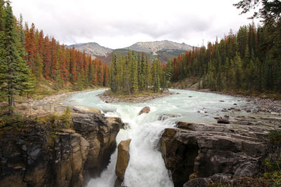 Scenic view of waterfall in forest against sky