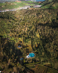 High angle view of trees on landscape