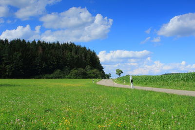 Scenic view of field against sky