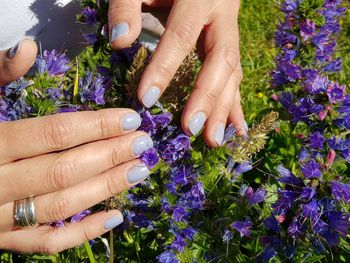 Midsection of woman holding purple flowering plants