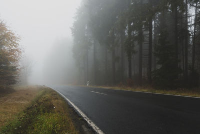 Empty road amidst trees during foggy weather