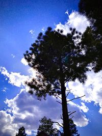Low angle view of silhouette trees against blue sky